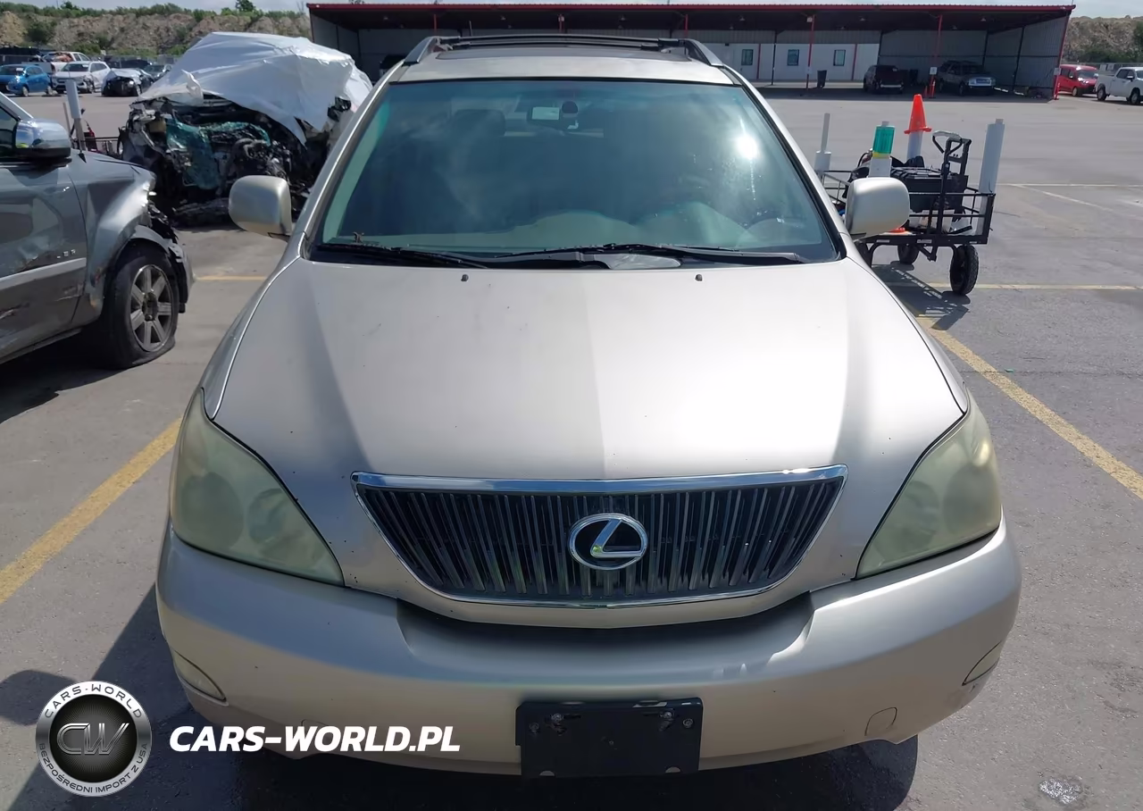 2004 Lexus Rx 330 VIN:JTJGA31UX40007894 - 6