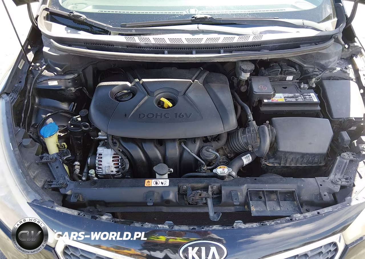 2014 Kia Forte Lx VIN:KNAFK4A66E5211161 - 10