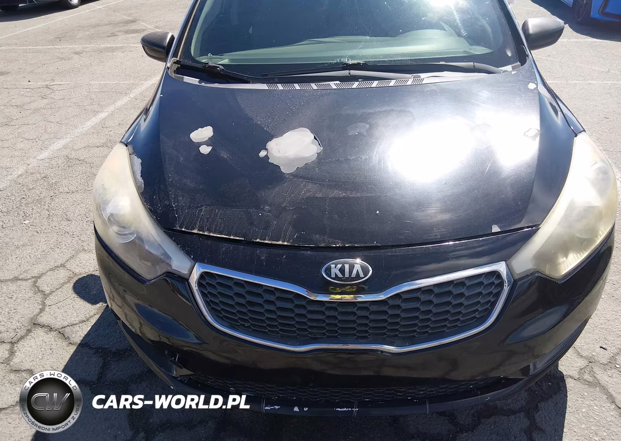 2014 Kia Forte Lx VIN:KNAFK4A66E5211161 - 6