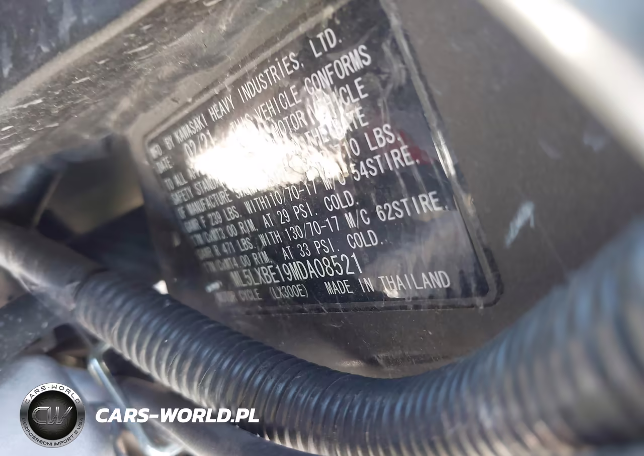 2021 Kawasaki Klx300 E VIN:ML5LXBE19MDA08521 - 10