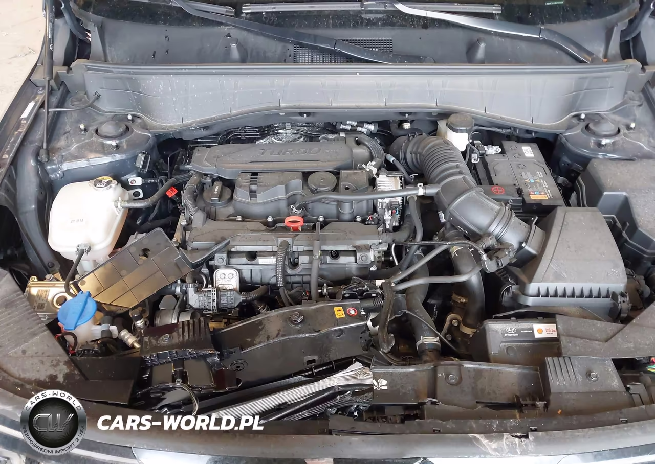 2024 Hyundai Kona Limited VIN:KM8HE3A33RU107009 - 10