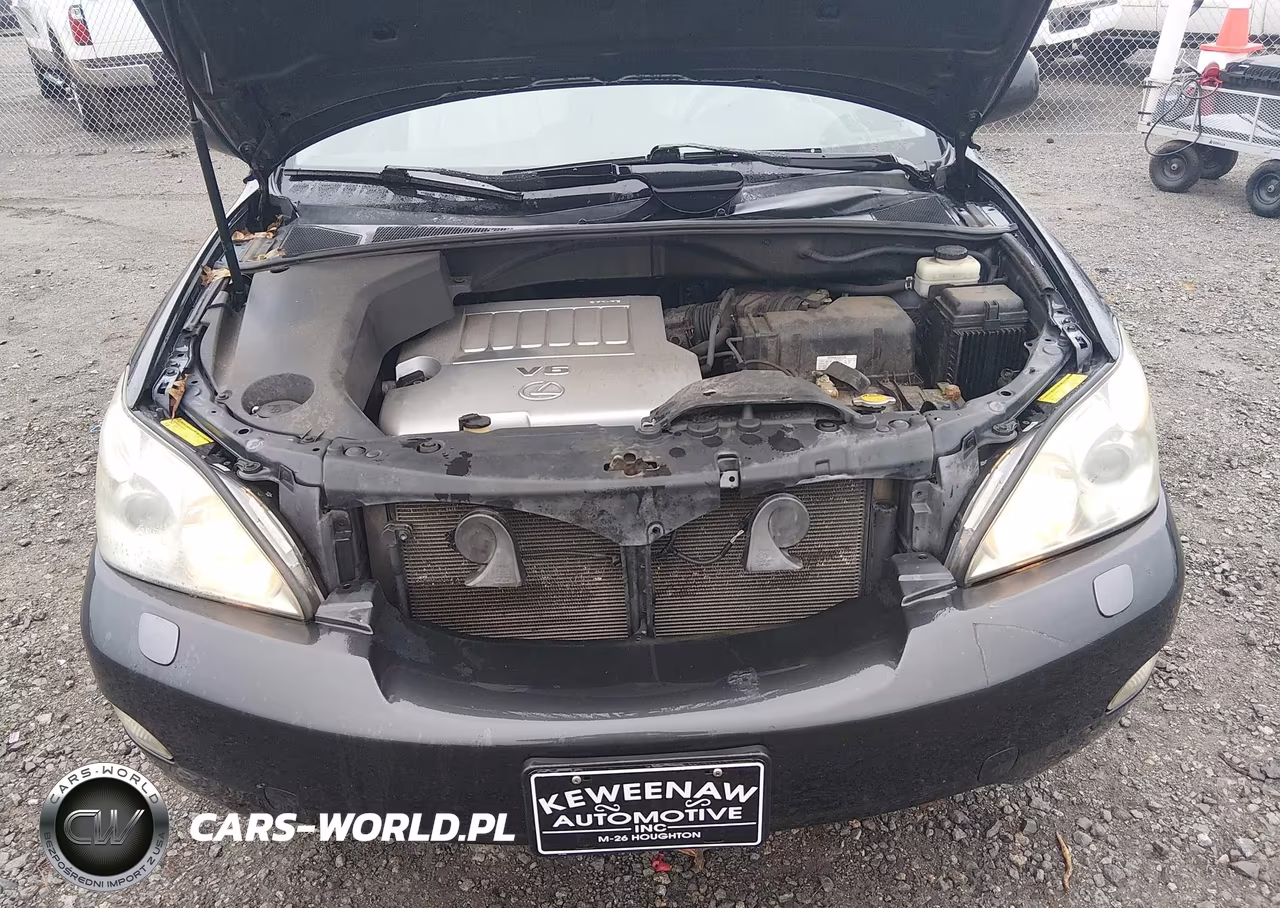 2009 Lexus Rx 350 VIN:2T2HK31UX9C107460 - 10