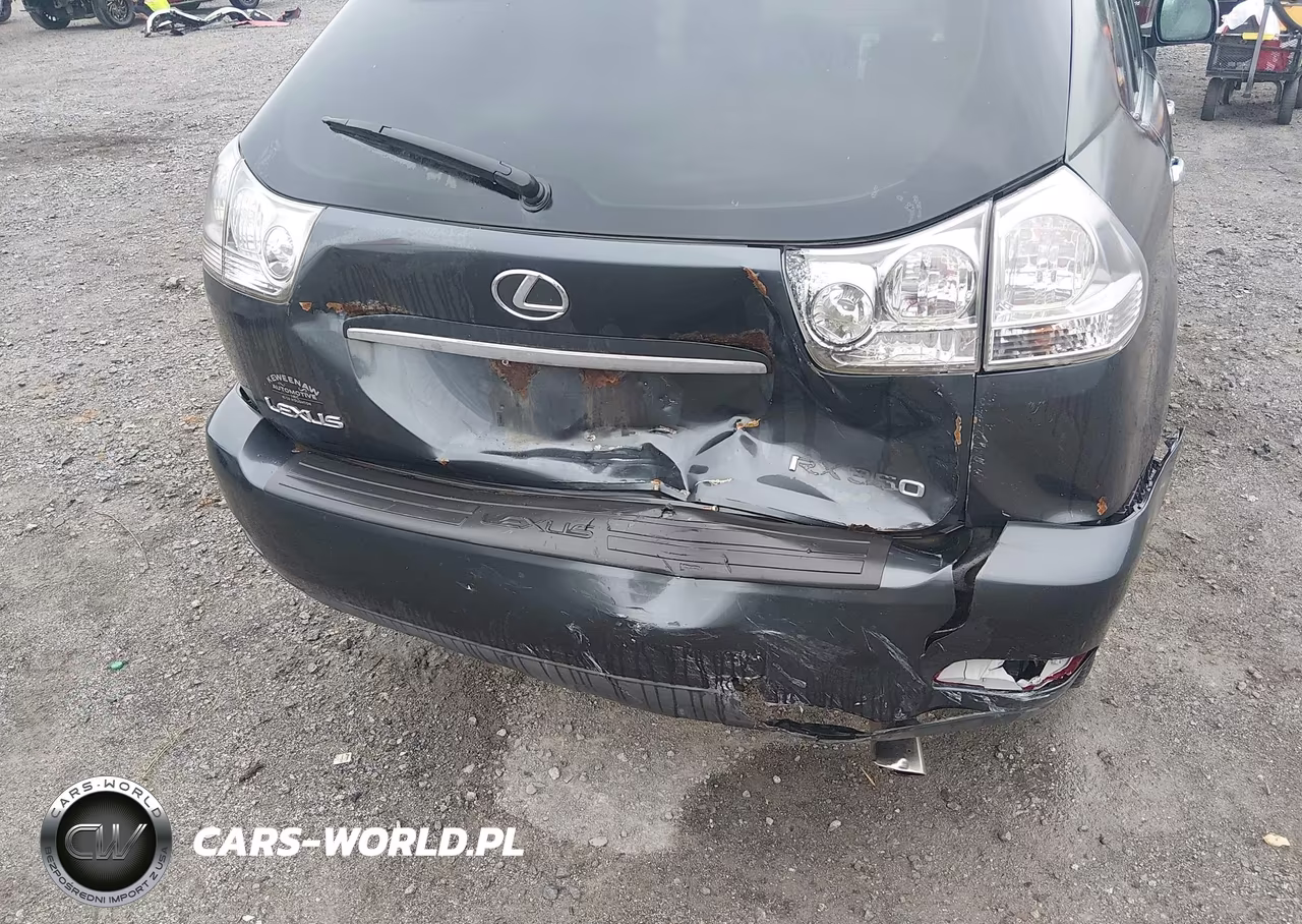 2009 Lexus Rx 350 VIN:2T2HK31UX9C107460 - 17