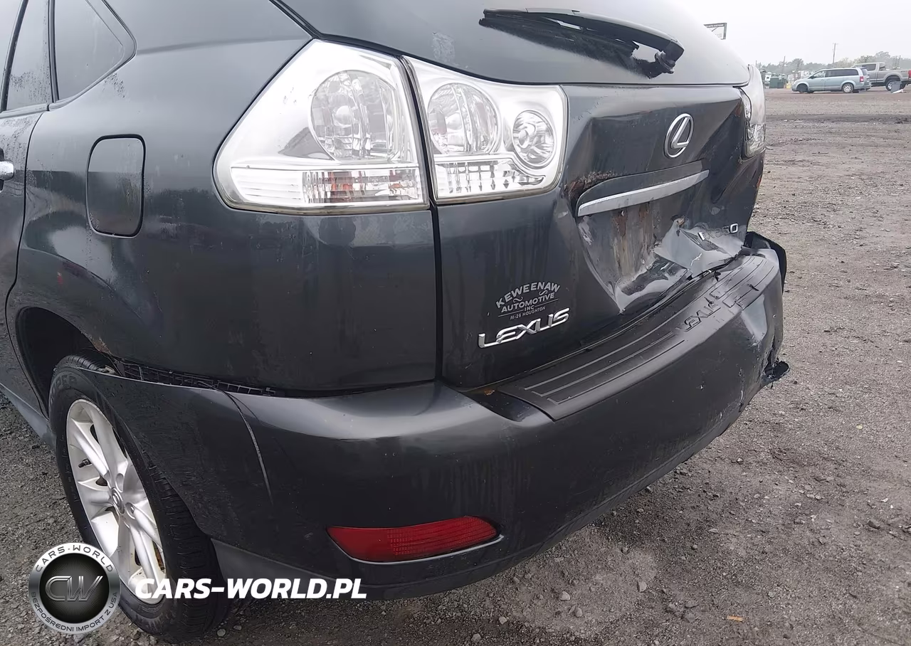 2009 Lexus Rx 350 VIN:2T2HK31UX9C107460 - 19