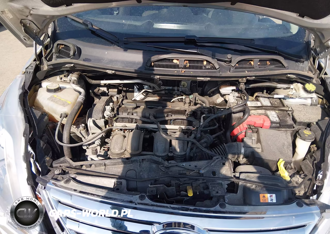 2013 Ford Fiesta Se VIN:3FADP4BJ1DM146653 - 10