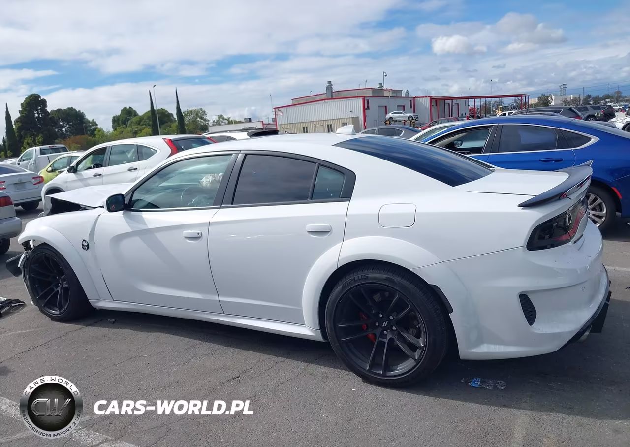 2020 Dodge Charger Scat Pack Widebody Rwd VIN:2C3CDXGJXLH251380 - 14