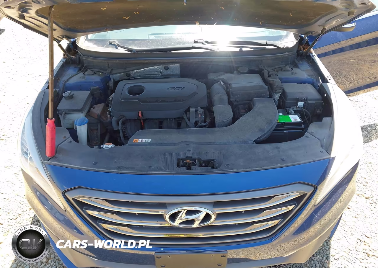 2015 Hyundai Sonata Sport VIN:5NPE34AF2FH253954 - 10