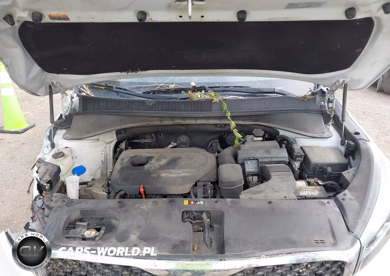 2016 Kia Sorento 2.4L Lx VIN:5XYPGDA37GG098037 - 10