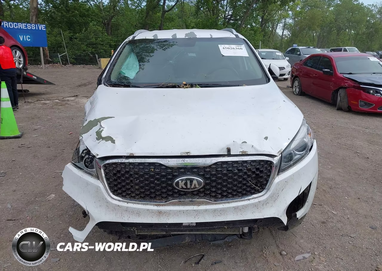2016 Kia Sorento 2.4L Lx VIN:5XYPGDA37GG098037 - 12