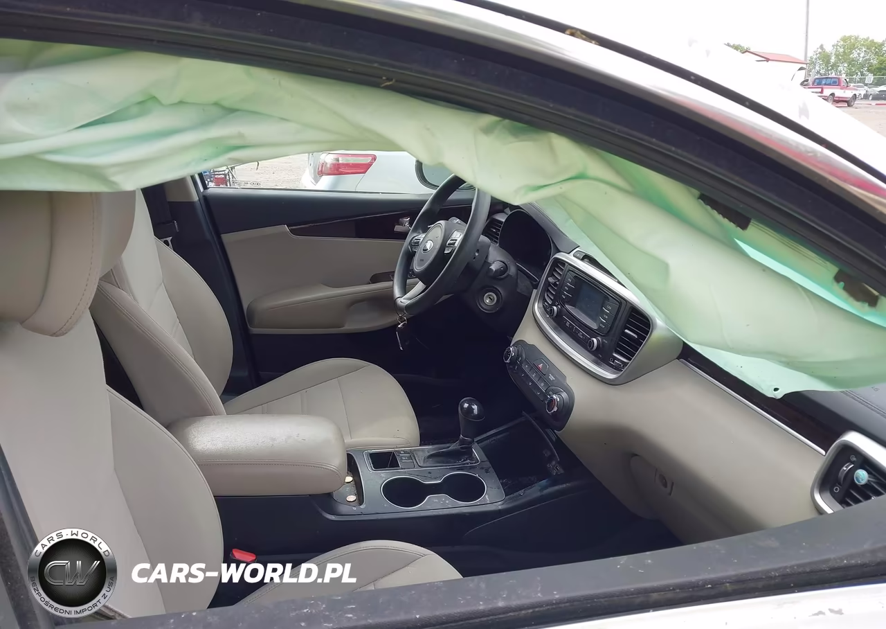 2016 Kia Sorento 2.4L Lx VIN:5XYPGDA37GG098037 - 5