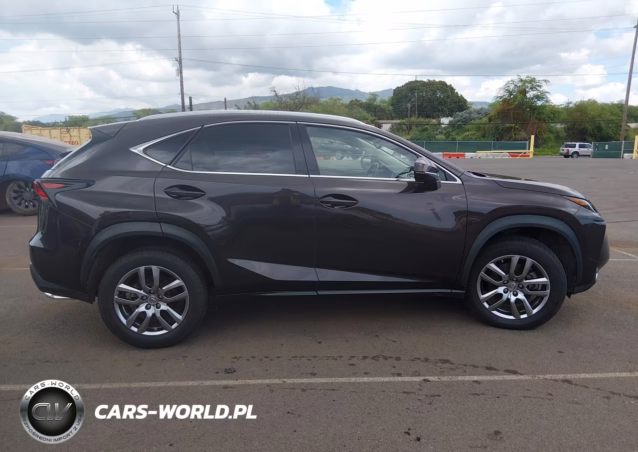 2015 Lexus Nx 200T F Sport VIN:JTJYARBZ0F2007556 - 13
