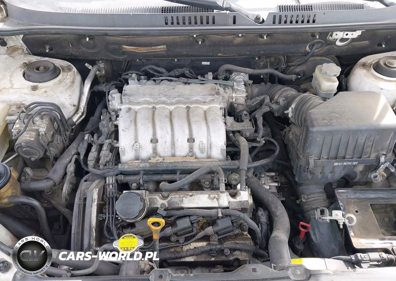 2003 Hyundai Santa Fe Gls-Lx VIN:KM8SC13E03U543547 - 10
