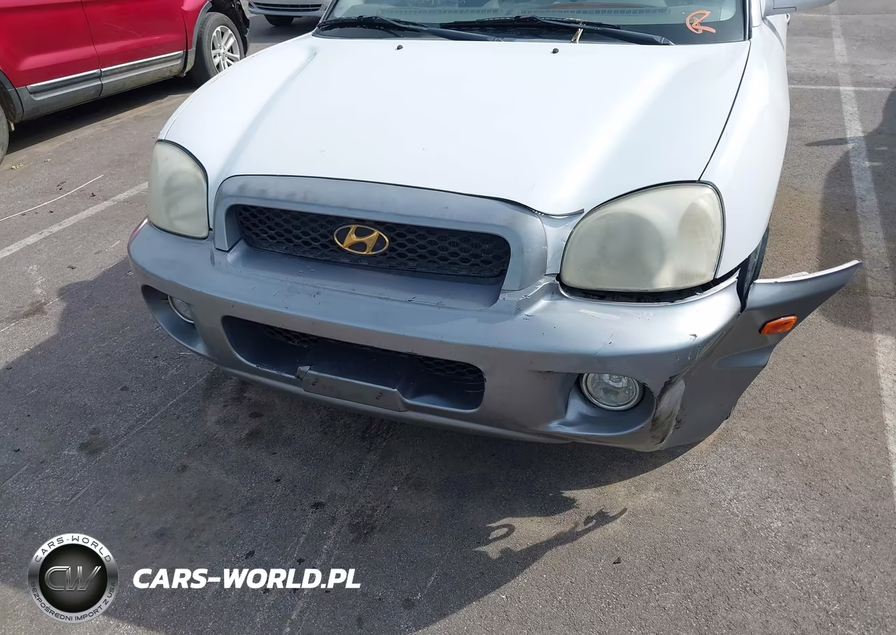 2003 Hyundai Santa Fe Gls-Lx VIN:KM8SC13E03U543547 - 11