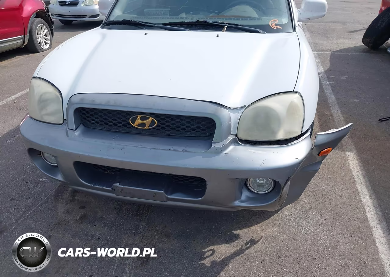 2003 Hyundai Santa Fe Gls-Lx VIN:KM8SC13E03U543547 - 12