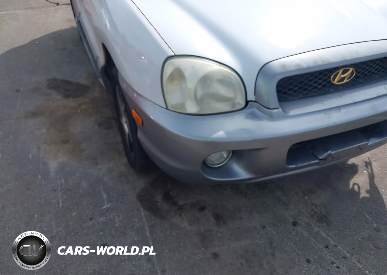 2003 Hyundai Santa Fe Gls-Lx VIN:KM8SC13E03U543547 - 13