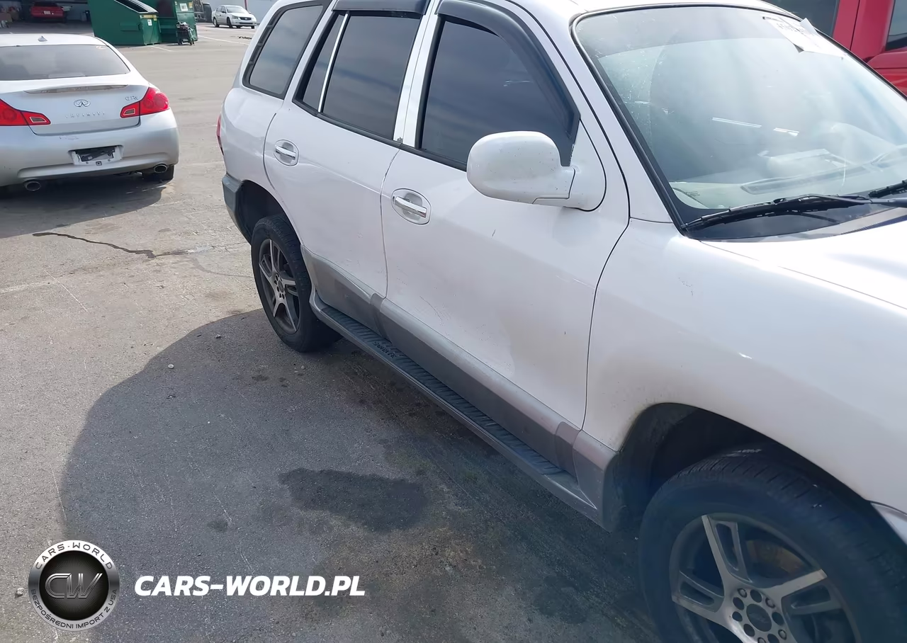 2003 Hyundai Santa Fe Gls-Lx VIN:KM8SC13E03U543547 - 14
