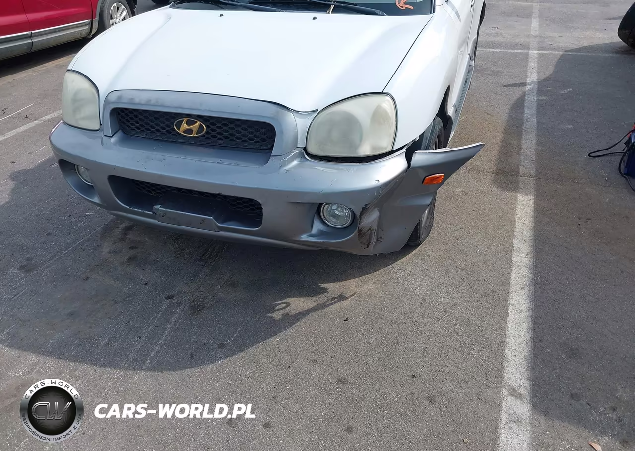 2003 Hyundai Santa Fe Gls-Lx VIN:KM8SC13E03U543547 - 15