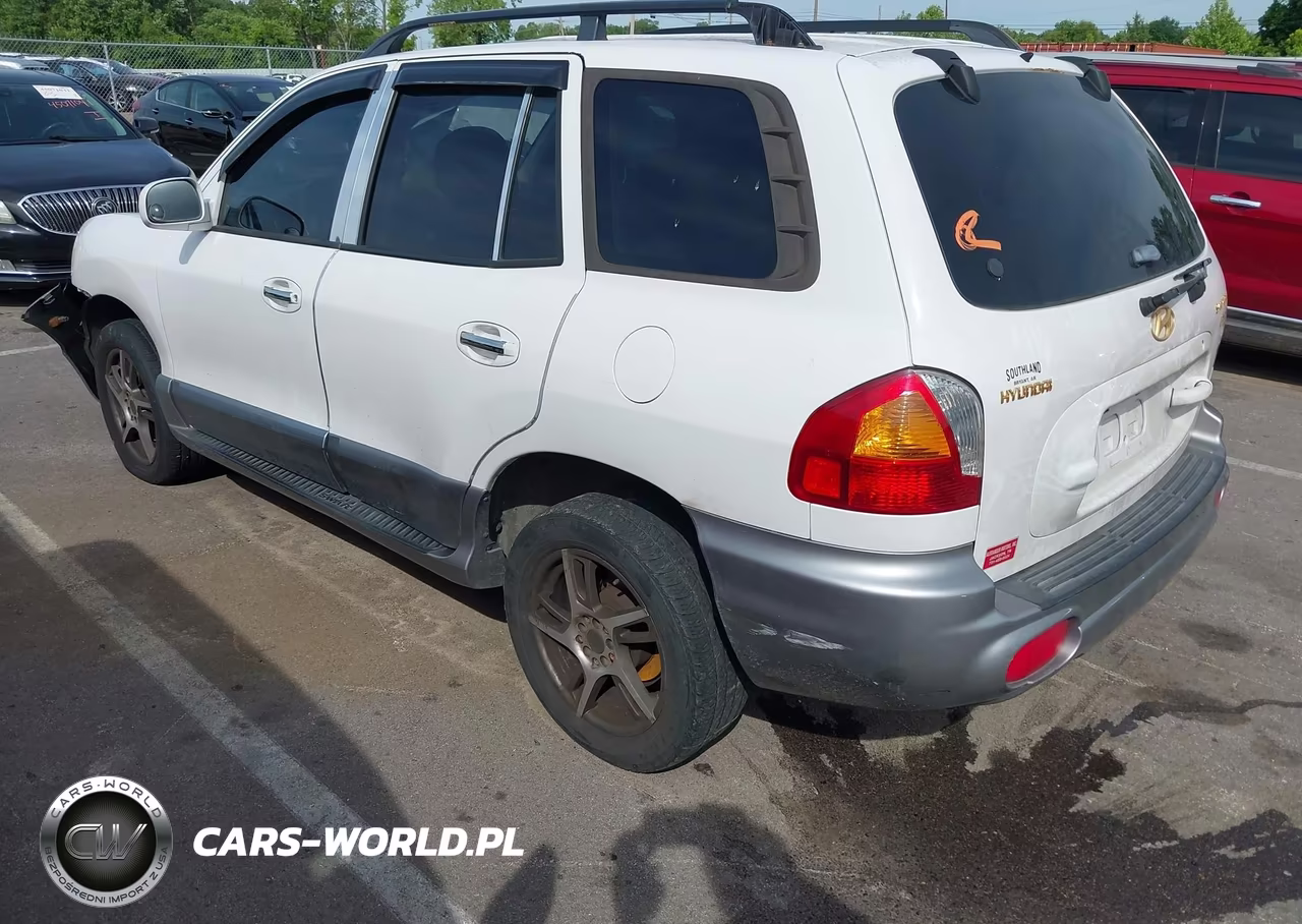 2003 Hyundai Santa Fe Gls-Lx VIN:KM8SC13E03U543547 - 3