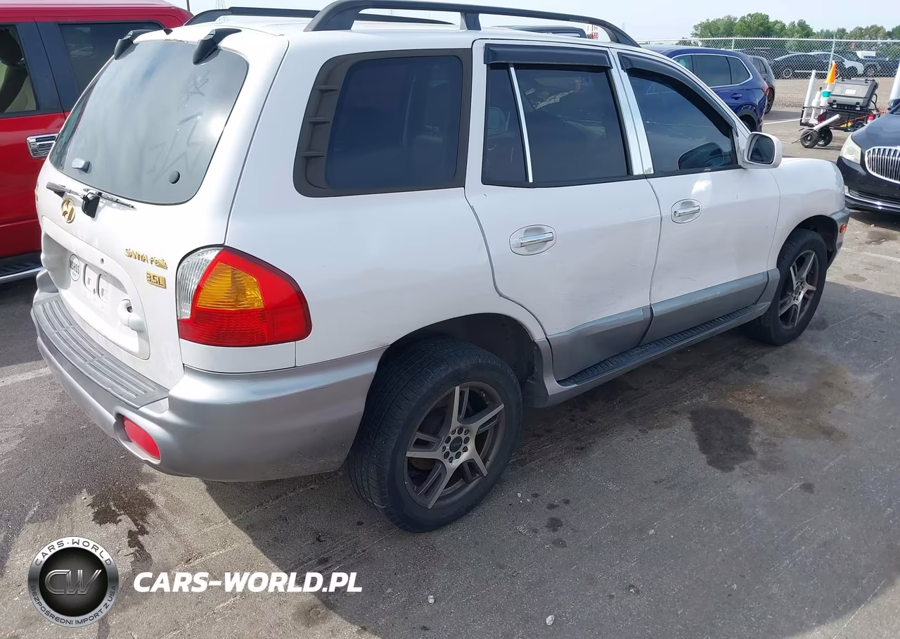 2003 Hyundai Santa Fe Gls-Lx VIN:KM8SC13E03U543547 - 4