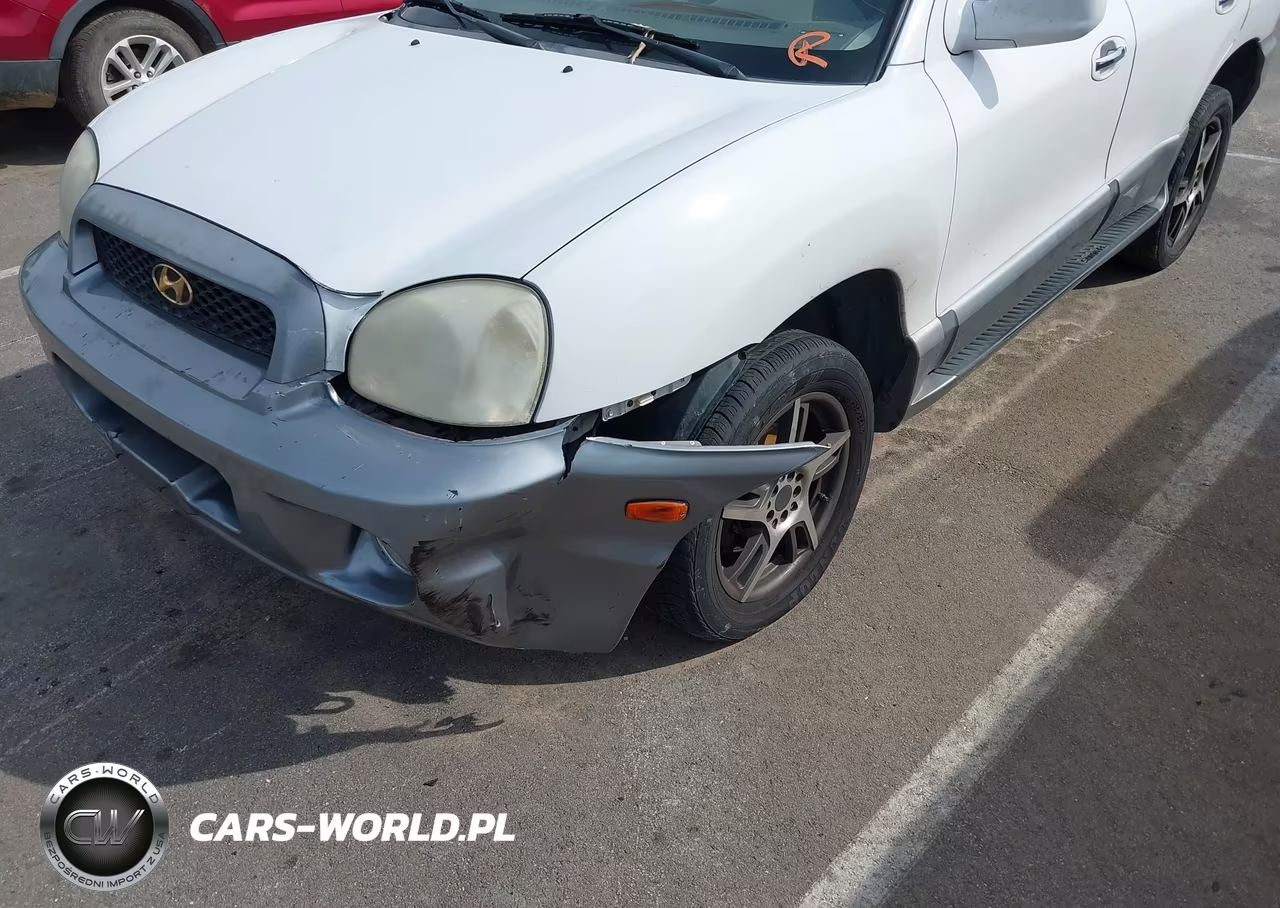 2003 Hyundai Santa Fe Gls-Lx VIN:KM8SC13E03U543547 - 6