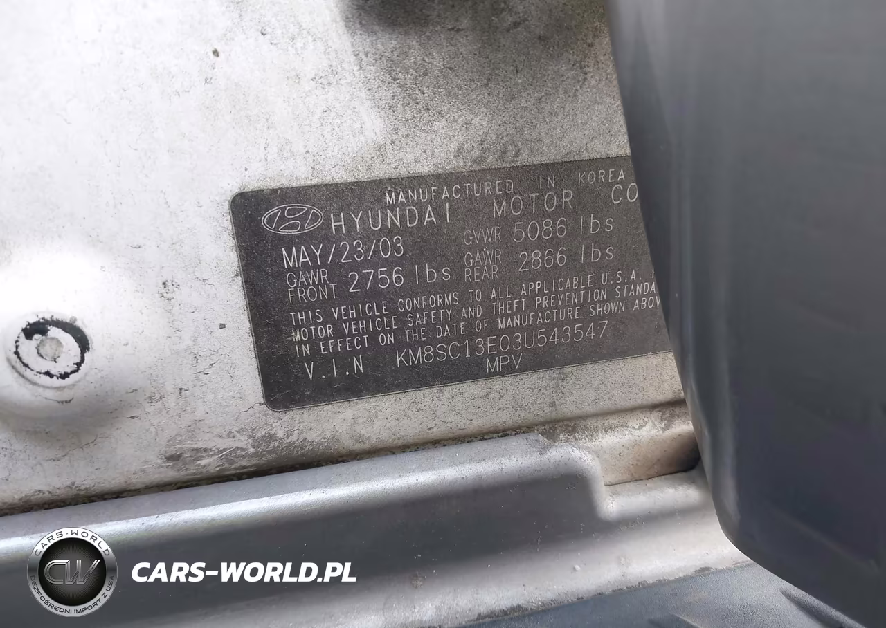 2003 Hyundai Santa Fe Gls-Lx VIN:KM8SC13E03U543547 - 9