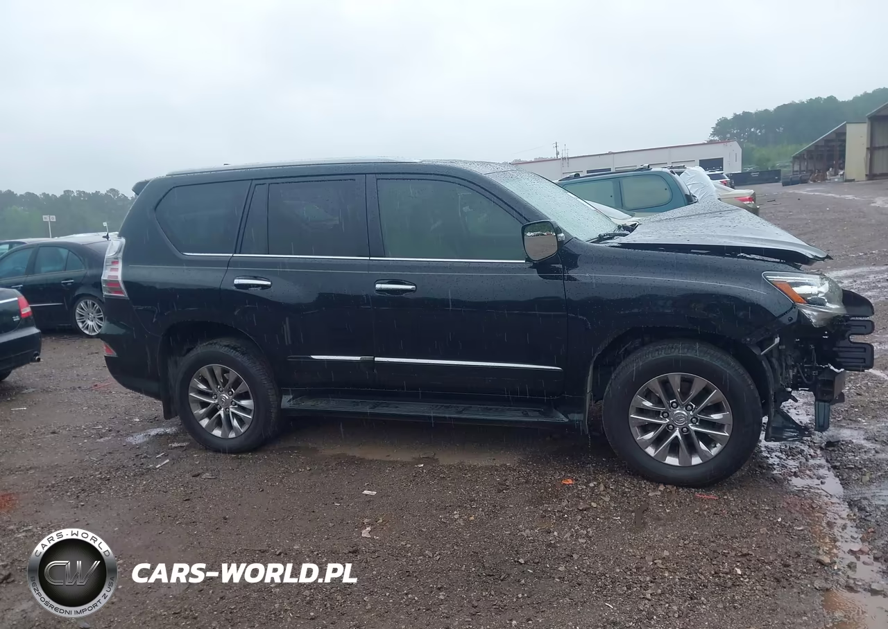 2017 Lexus Gx 460 VIN:JTJBM7FX9H5161288 - 13