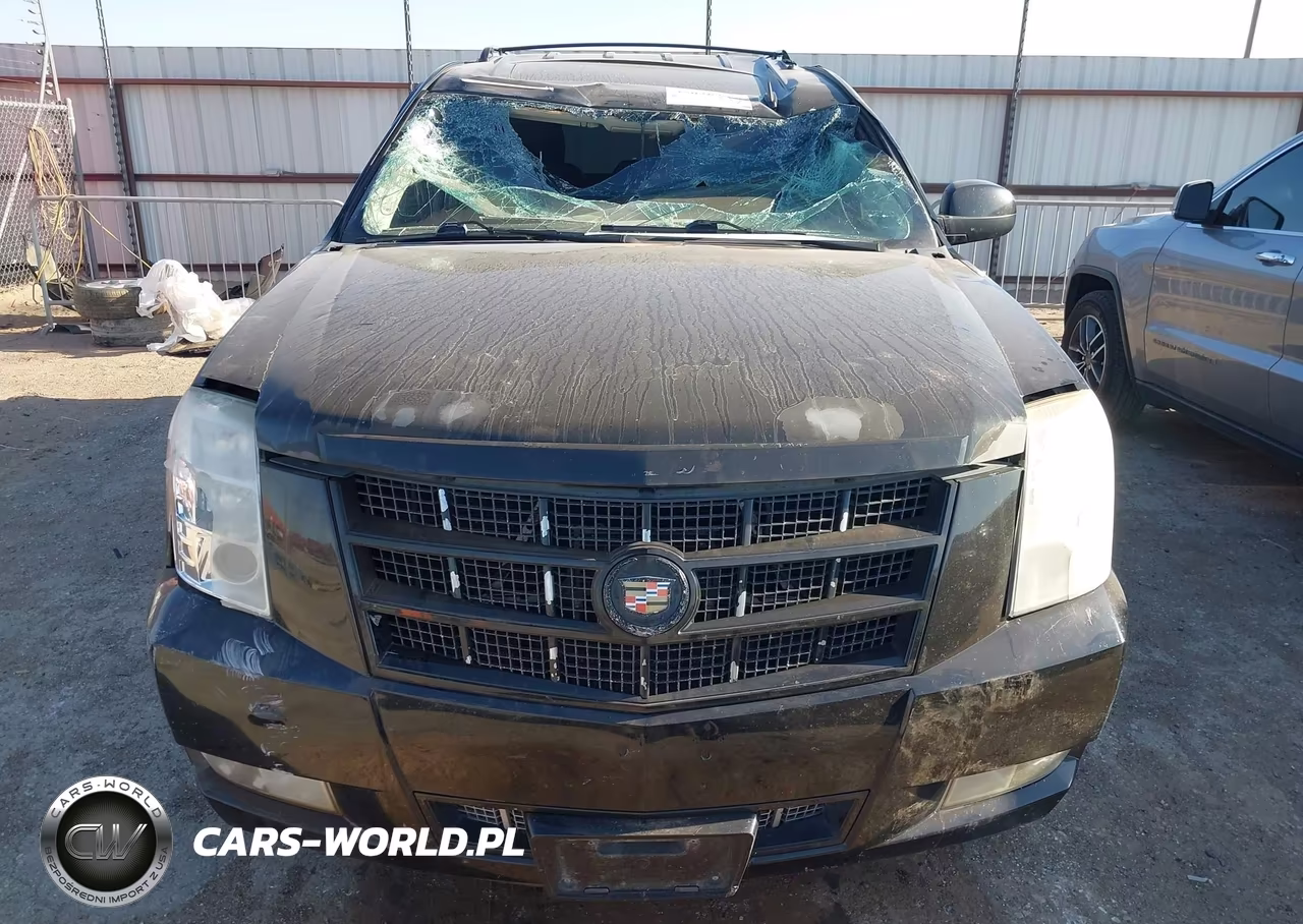 2013 Cadillac Escalade Premium VIN:1GYS3CEF8DR124138 - 12