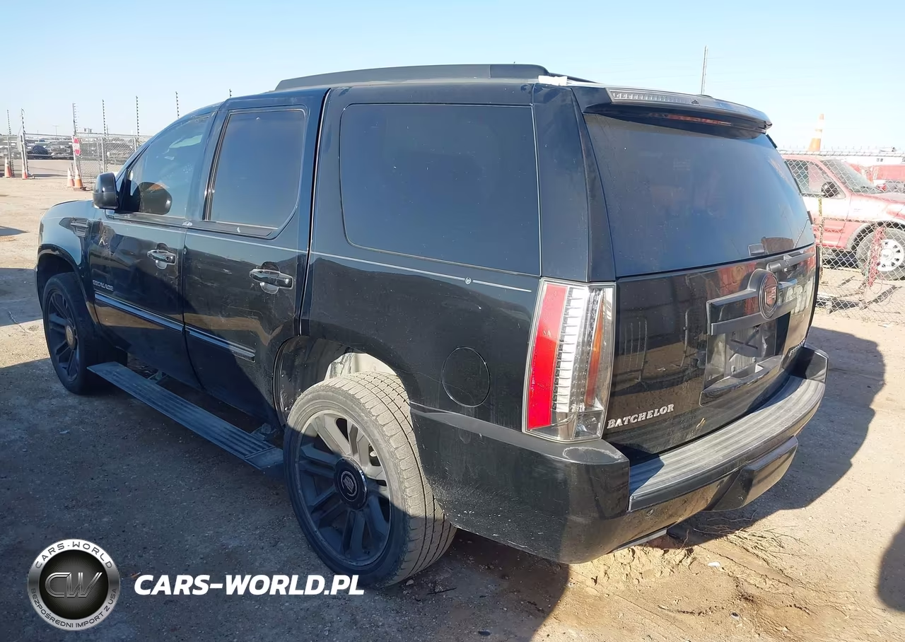 2013 Cadillac Escalade Premium VIN:1GYS3CEF8DR124138 - 3