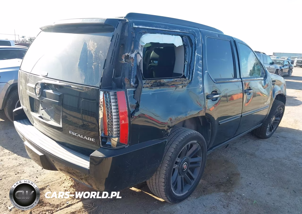 2013 Cadillac Escalade Premium VIN:1GYS3CEF8DR124138 - 4