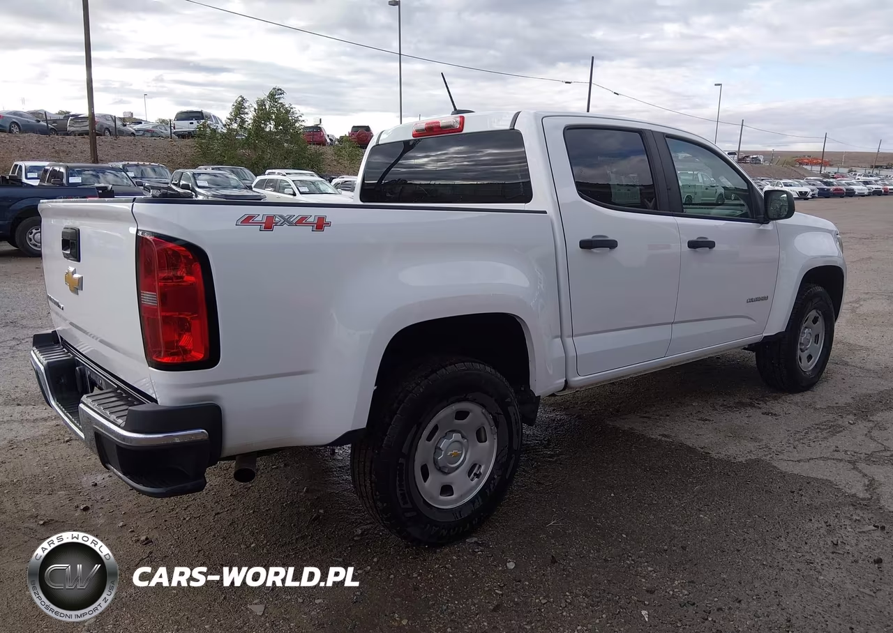 2019 Chevrolet Colorado Wt VIN:1GCGTBEN3K1263795 - 4