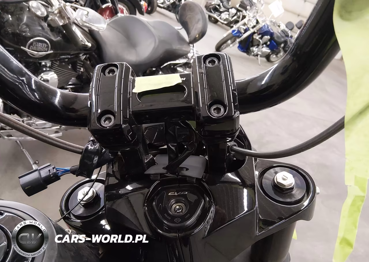 2024 Harley-Davidson Fltrxstse VIN:1HD1TL811RB961118 - 7