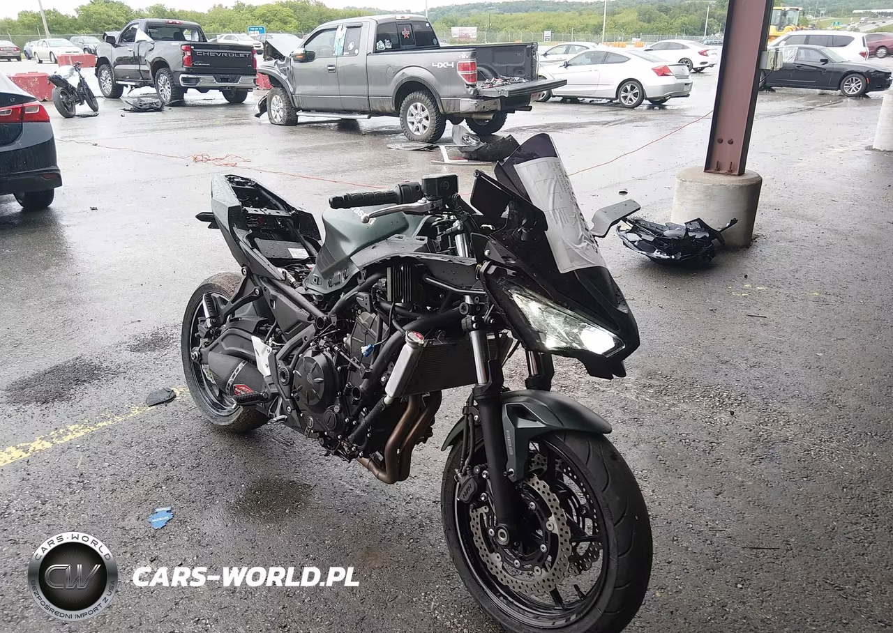 2025 Kawasaki Ex650 P – zdjęcie 1 z 14