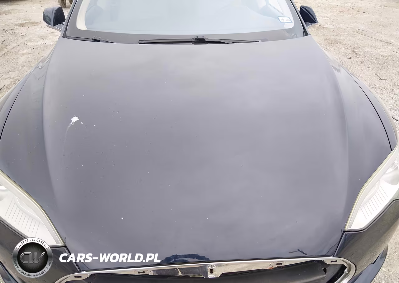 2013 Tesla Model S VIN:5YJSA1AG4DFP08458 - 10