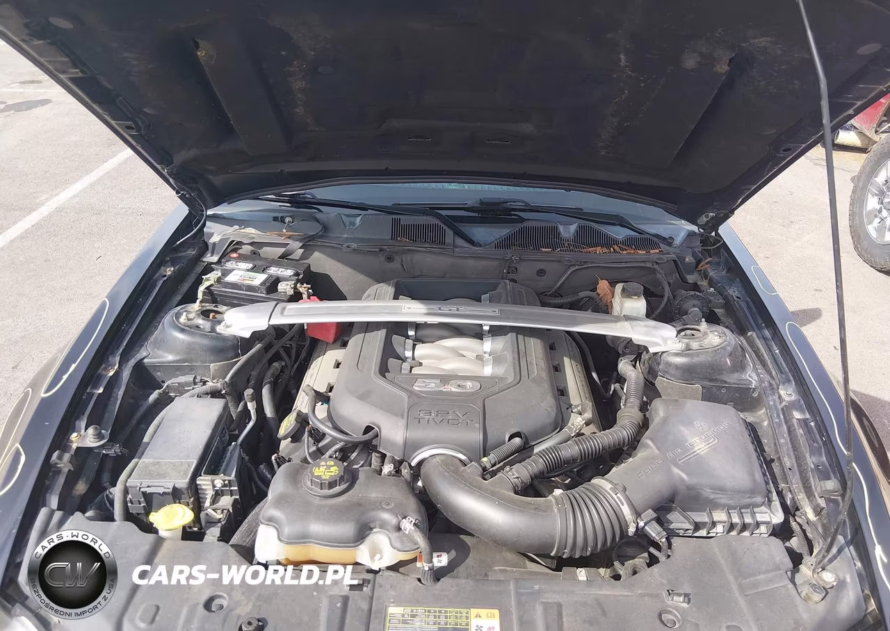 2013 Ford Mustang Gt Premium VIN:1ZVBP8CFXD5240536 - 10