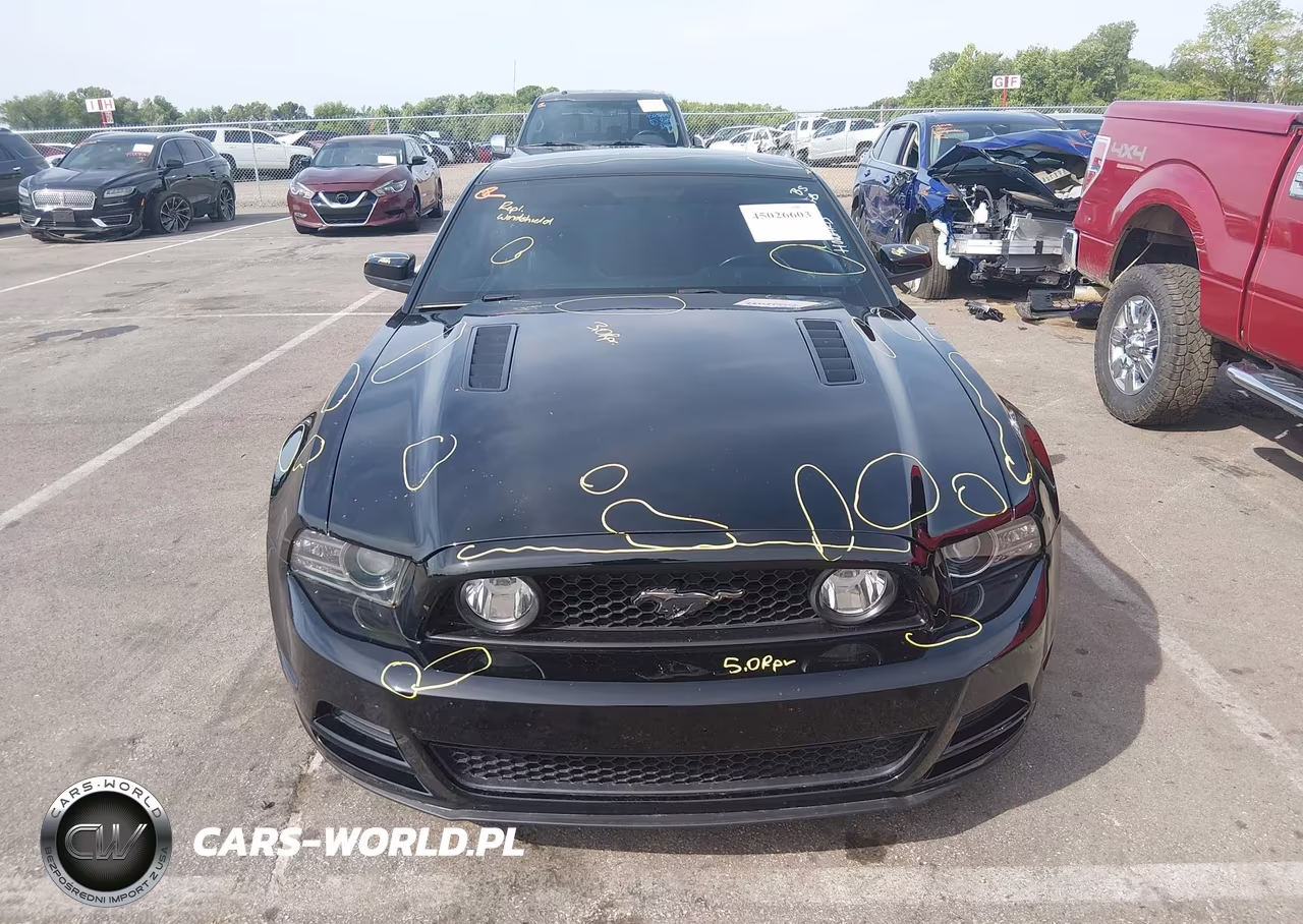 2013 Ford Mustang Gt Premium VIN:1ZVBP8CFXD5240536 - 12