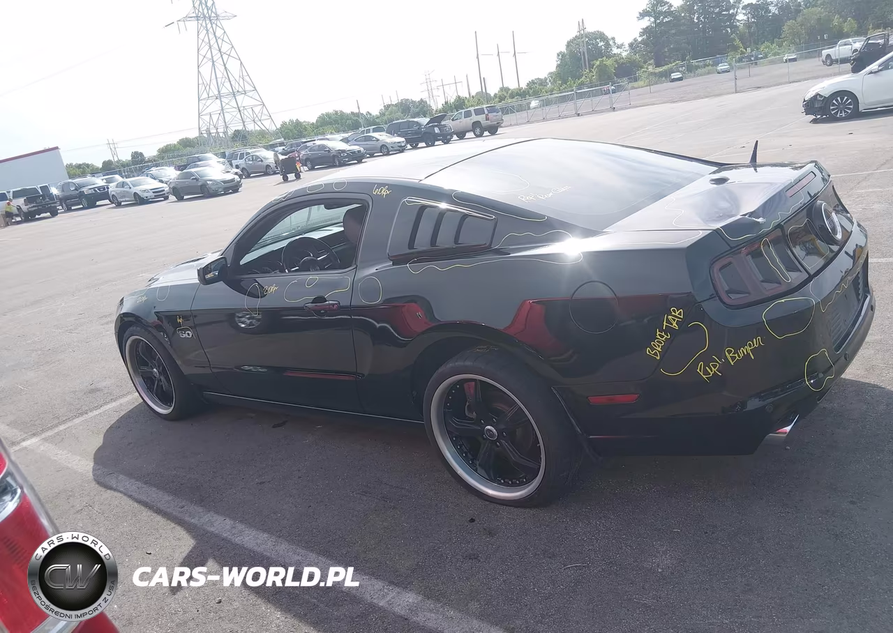 2013 Ford Mustang Gt Premium VIN:1ZVBP8CFXD5240536 - 14
