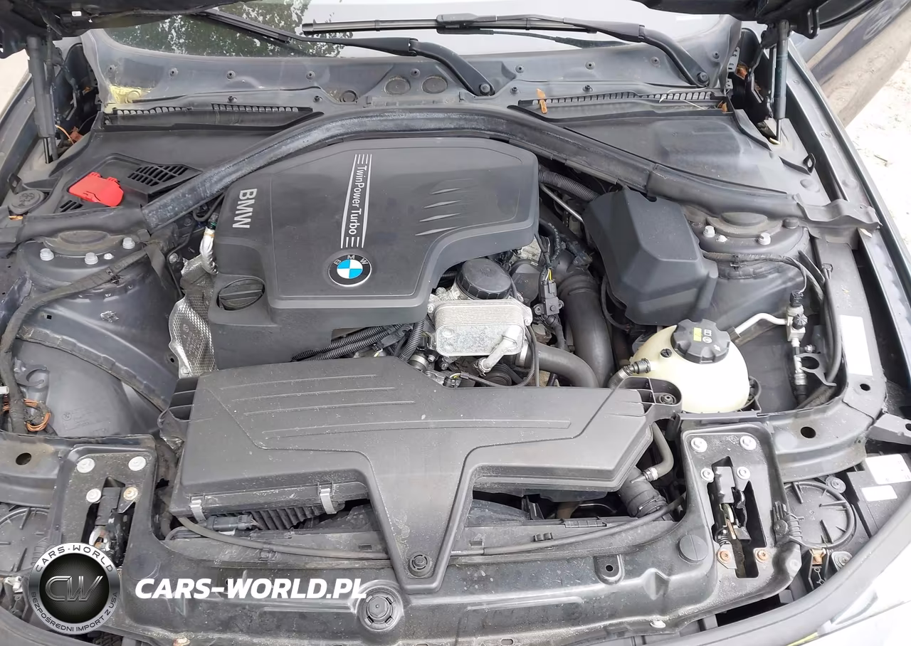 2016 BMW 428I xDrive VIN:WBA3N9C54GK249455 - 10