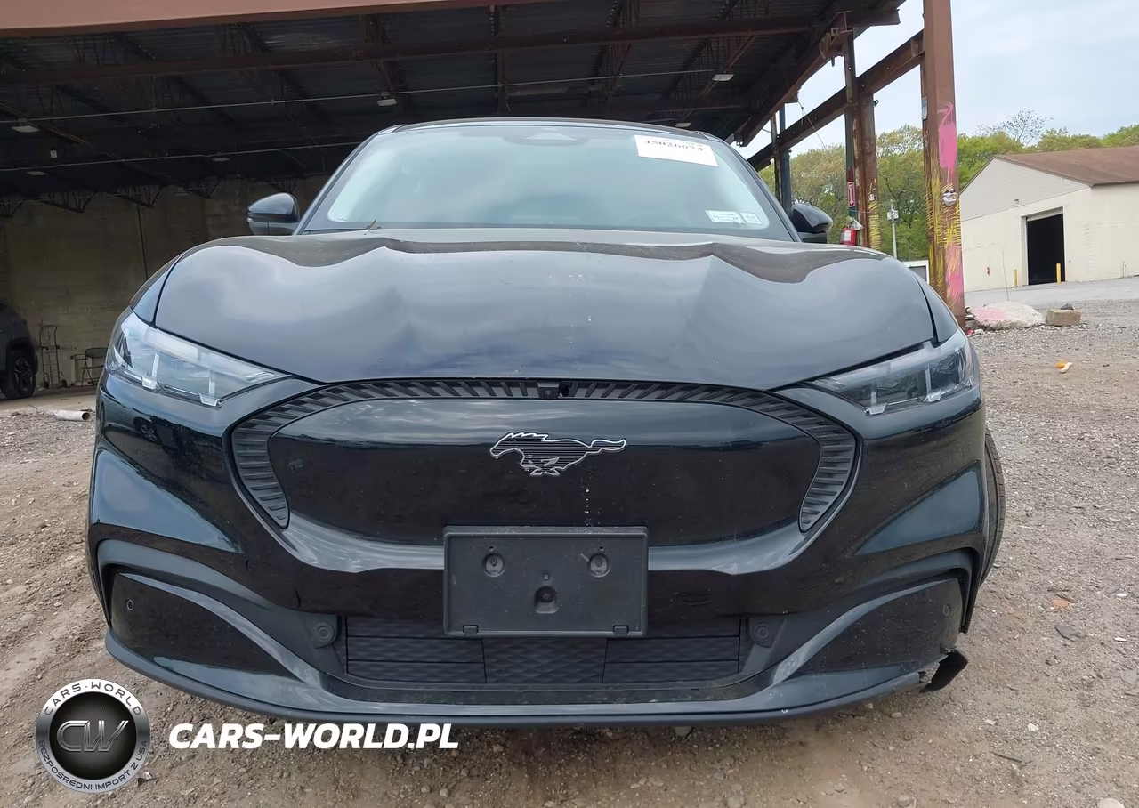 2024 Ford Mustang Mach-E Select VIN:3FMTK1SU9RMA08746 - 11