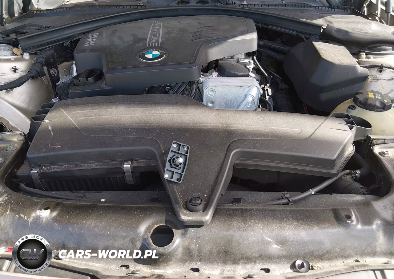 2015 BMW 320I VIN:WBA3B1G55FNT03895 - 10