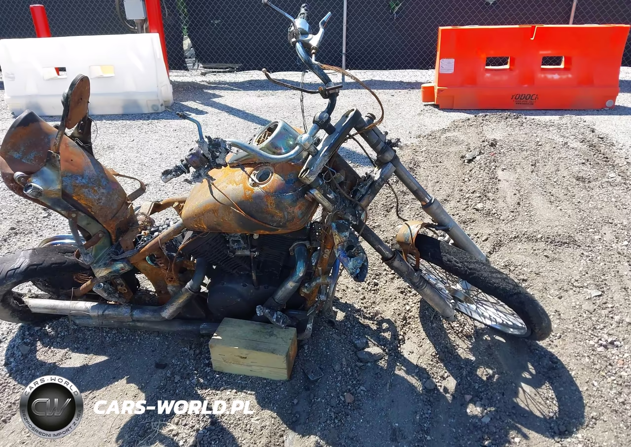 2004 Kawasaki Vn800 – zdjęcie 1 z 10