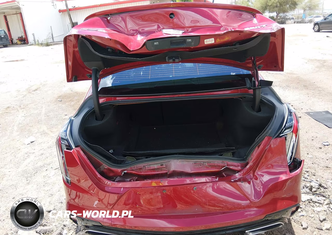 2020 Cadillac Ct4 Sport VIN:1G6DC5RK4L0139999 - 6
