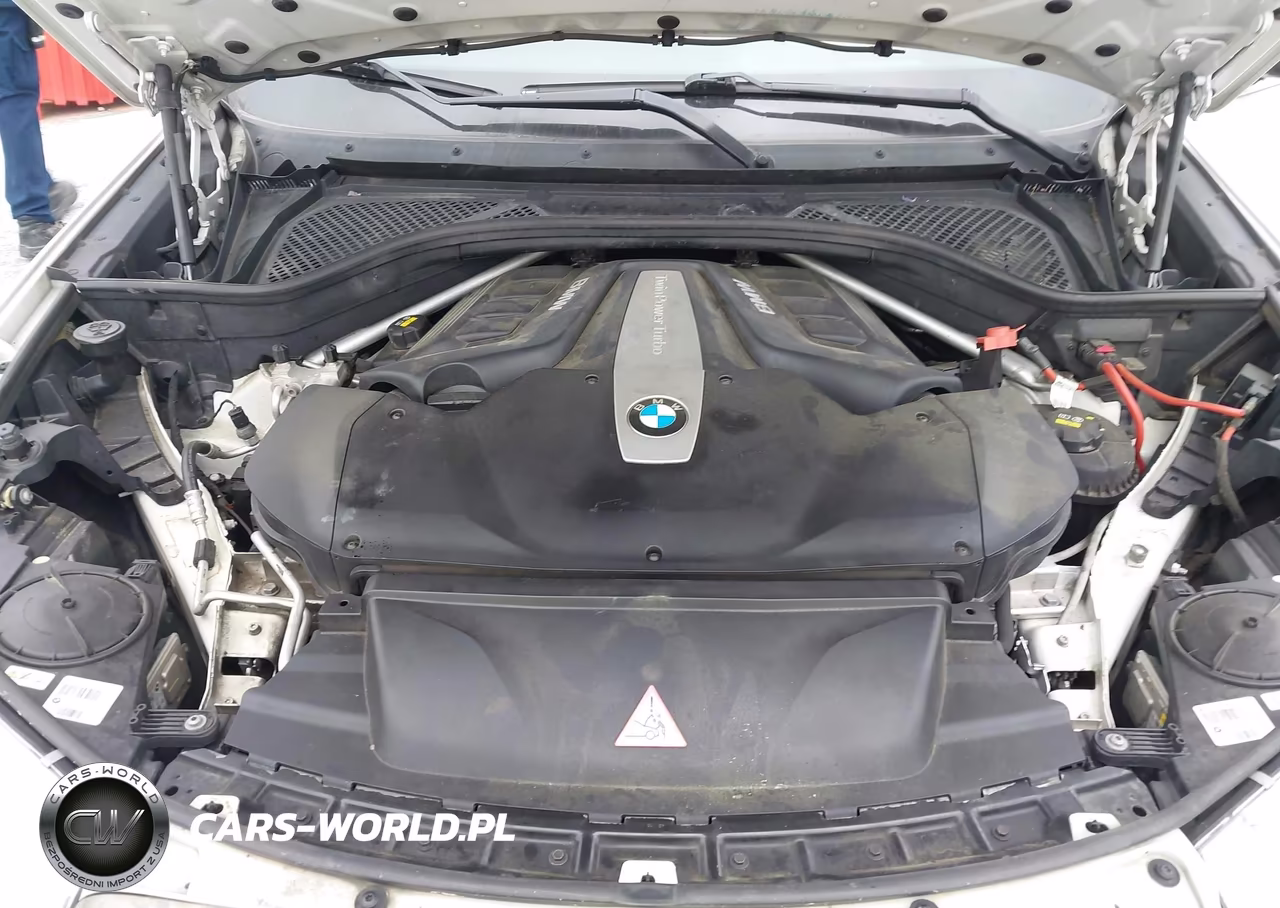 2016 BMW X6 xDrive50I VIN:5UXKU6C52G0R34158 - 10