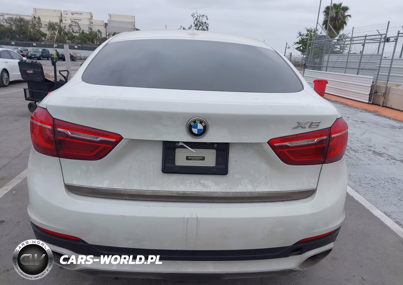 2016 BMW X6 xDrive50I VIN:5UXKU6C52G0R34158 - 16