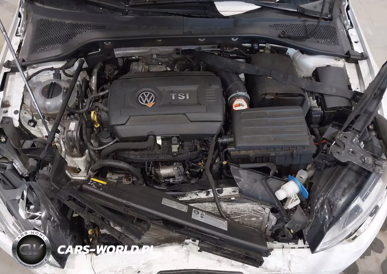 2015 Volkswagen Golf Tsi S 4-Door VIN:3VW217AU5FM010137 - 10