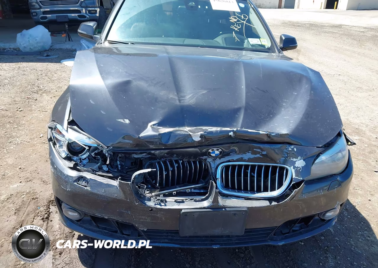 2016 BMW 528I xDrive VIN:WBA5A7C57GG152018 - 10