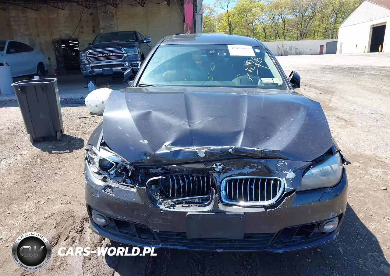2016 BMW 528I xDrive VIN:WBA5A7C57GG152018 - 11