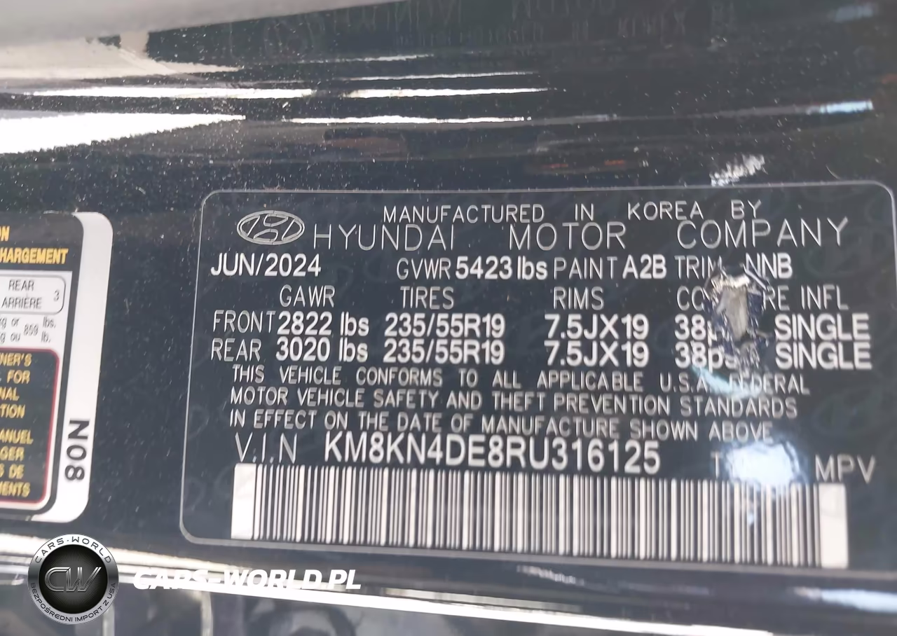 2024 Hyundai Ioniq 5 Sel VIN:KM8KN4DE8RU316125 - 9