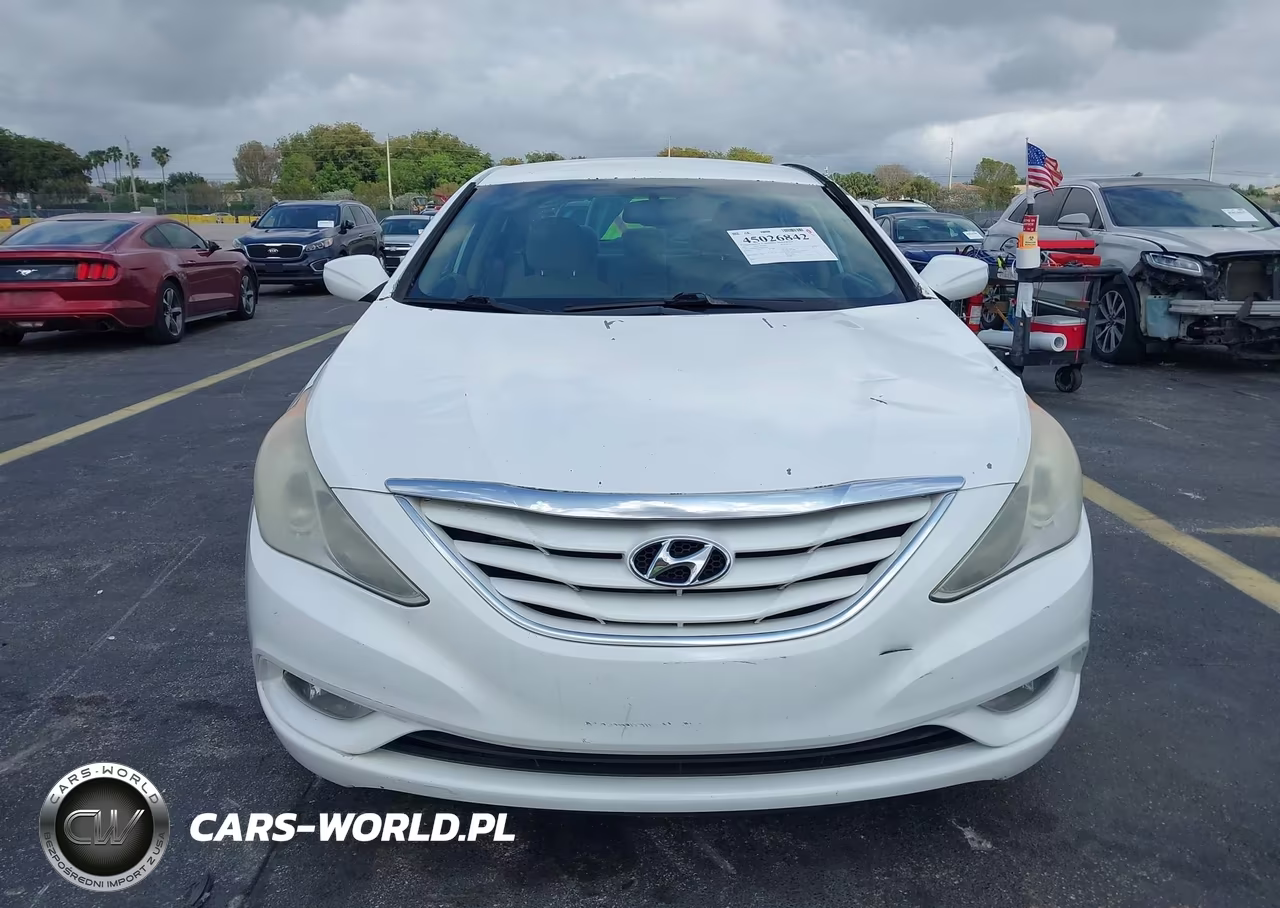 2013 Hyundai Sonata Gls VIN:5NPEB4AC9DH656822 - 12