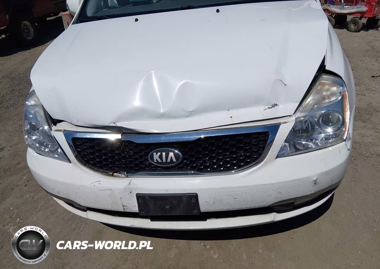 2014 Kia Sedona Lx VIN:KNDMG4C78E6551858 - 12