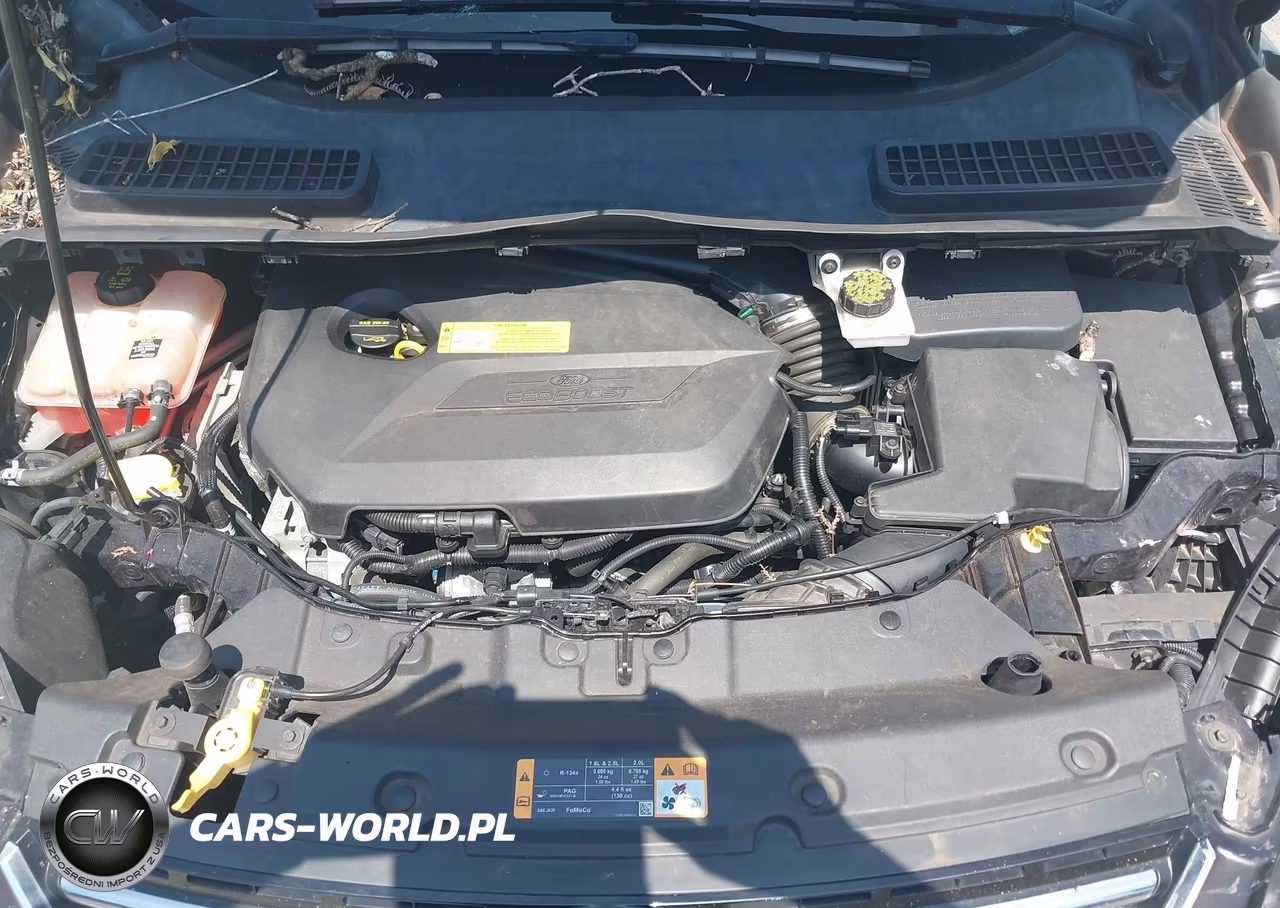 2013 Ford Escape Sel VIN:1FMCU0HX9DUC46641 - 10